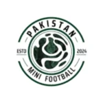 Palistan-mini-football